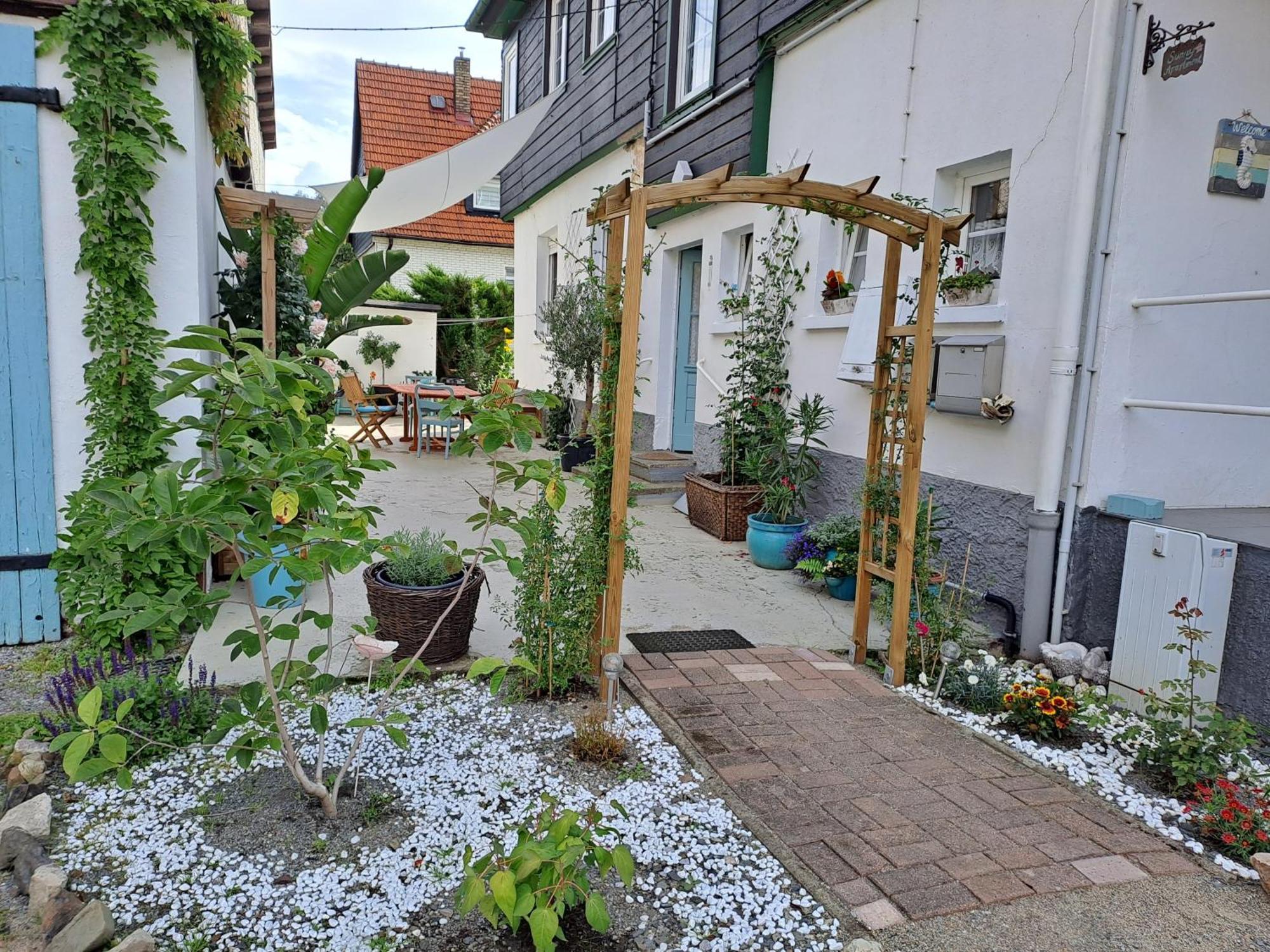Cozy Apartment Altenbrak Zewnętrze zdjęcie